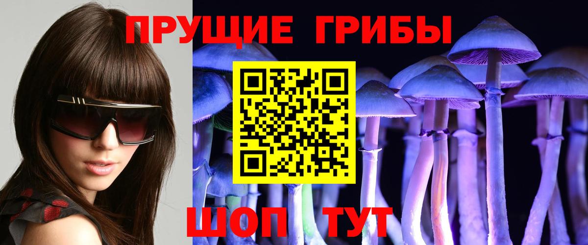 Псилоцибиновые грибы Cubensis Старая Купавна